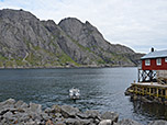 Schöner Blick auf den Fjord