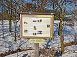 Am Waldstück wenden wir uns nach links...