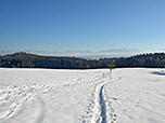 Blick zu den Chiemgauer Alpen und zum Wendelstein