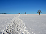 In moderater Steigung wandern wir bergauf