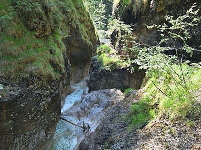 ... des Almbaches ist unser ständiger Begleiter.