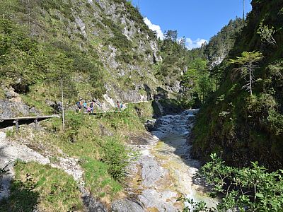 Ein paar Meter über den Almbach spazieren wir immer tiefer in die Klamm