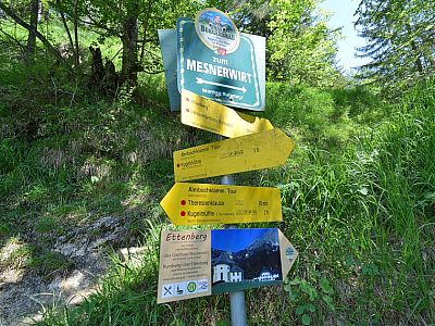 Wir steigen weiter bergauf Richtung Ettenberg