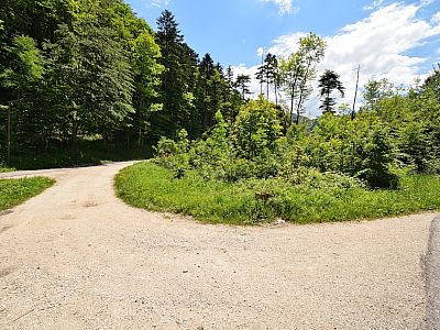 ... halten wir uns wieder rechts.