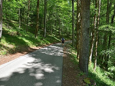 Noch ein Stück die Straße entlang... 