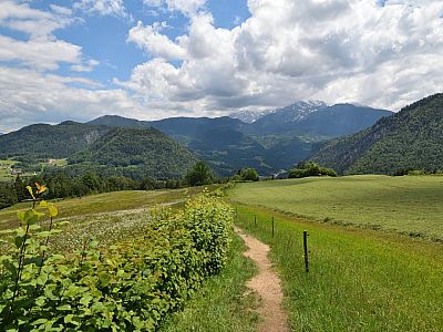 Entlang einer Hecke spazieren wir wieder auf die Schlucht zu