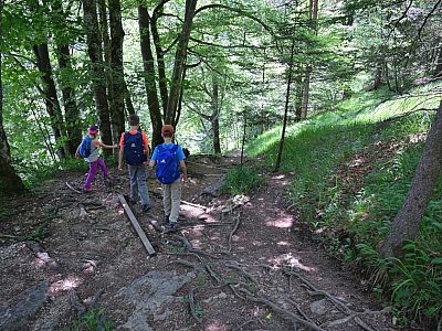 Über zahlreiche Wurzeln ...