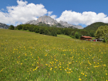 Der Berchtesgadener Hochthron