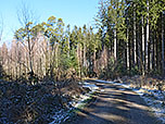 Wir wandern ostwärts in Richtung Kunstweg