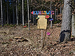Am Ende des Kunstwegs...