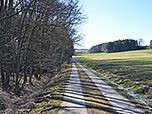 Ein Karrenweg...