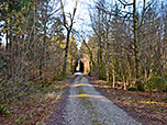...und folgen dem Forstweg durch dichten...