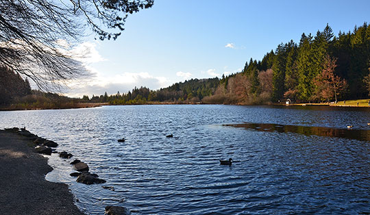 Wanderung von Deisenhofen durch das Gleißental zum Deininger Weiher