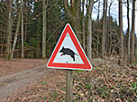Achtung, Schweinerei