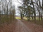 Wir verlassen das Steinhöringer Holz...