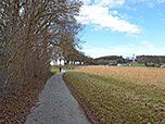 ...und die Heldenallee leiten uns auf den Aussichtsturm zu