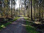Immer geradeaus führt uns der Weg durch den Wald