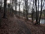 Entlang der Amper geht es durch den Wald