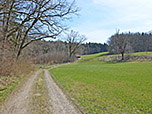 ...und biegen dann rechts in einen Feldweg ein