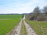 ...erreichen wir einen Feldweg, ...