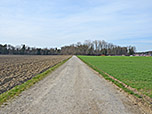 Für den Rückweg nach Geltendorf folgen wir dem Forstweg über Felder...