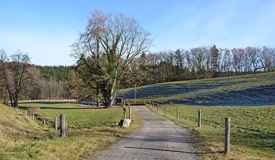 Wanderung von Großhelfendorf über Kaps, Spielberg, das Kupferbachtal und Reisenthal nach Glonn