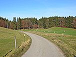 Wir spazieren auf ein Waldstück zu...