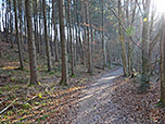 Über den Waldweg...