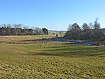 Blick über das Straußdorfer Moos