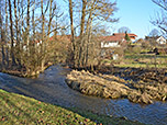 ...und zum Wieshamer Bach