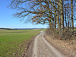 Über den Feldweg...