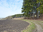 ...und erreichen über einen Feldweg...