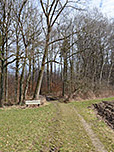 ...ein Waldstück