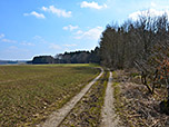 ...und folgen dem Waldrand