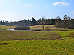 Wir passieren kleinere Weiher...