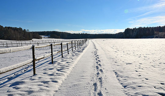 Wanderung von Großhelfendorf über die Grubmühle und durch den Teufelsgraben zum Bartewirt in Kreuzstraße