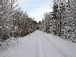 Durch den Wald spazieren wir über den Peißer Weg...