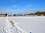 Blick zurück nach Großhelfendorf