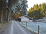 ...und kommen zum nächsten Waldstück