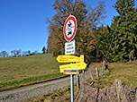 Wir verlassen den Wald...