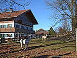 Exotische Beobachter in Kleinhartpenning
