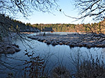 Der frostige und idyllisch gelegene Hackensee