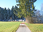 ...und kommen zu einem Waldstück