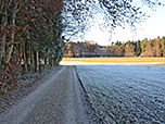 Wir überqueren die Landstraße