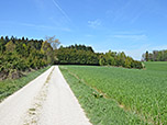 Wir folgen einem Waldrand nordostwärts