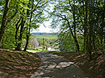 Wir wandern vom Petersberg hinunter...