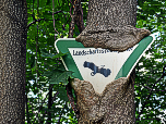 Die Natur zeigt, wer hier das sagen hat