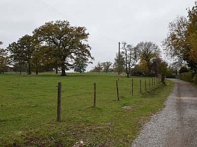 Auf einem Schotterweg spazieren wir weiter nach Rausch