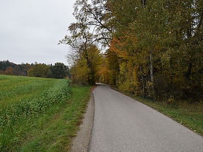 Auf einer Teerstraße geht es weiter nach Ellwang