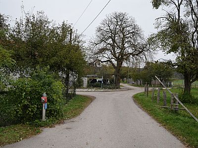 In Ellwang biegen wir links nach Westen ab